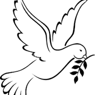 dove and branch drawing
